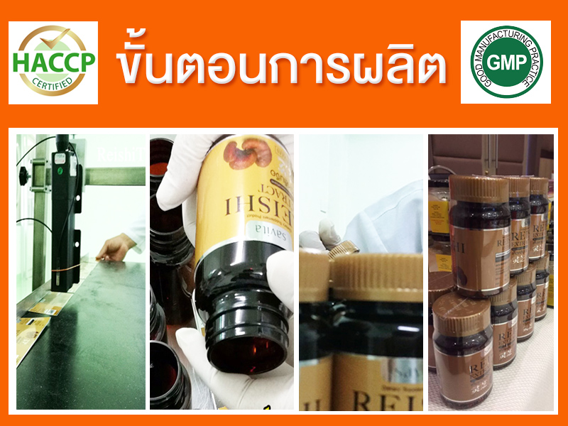 ขั้นตอนการผลิต เห็ดหลินจือสกัด (REISHI EXTRACT)
